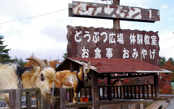 浅間牧場茶屋