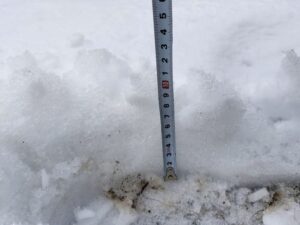 画像あり　ベルエールの森の積雪状況　2024年2月22日撮影　積雪量は最大10センチ程度。（雪遊び、そり遊び、コスプレプラン、雪ロケ撮影）