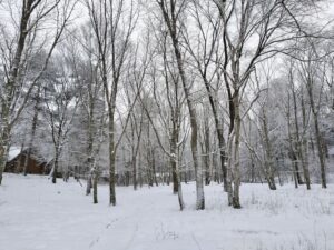 画像あり　ベルエールの森の積雪状況　2024年2月23日撮影　積雪量は最大14センチ程度。（雪遊び、そり遊び、かまくら、コスプレプラン、雪ロケ撮影）